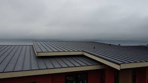 Best Roof Coating and Sealing  in West Ishpeng, MI